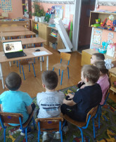 День совы День совы.